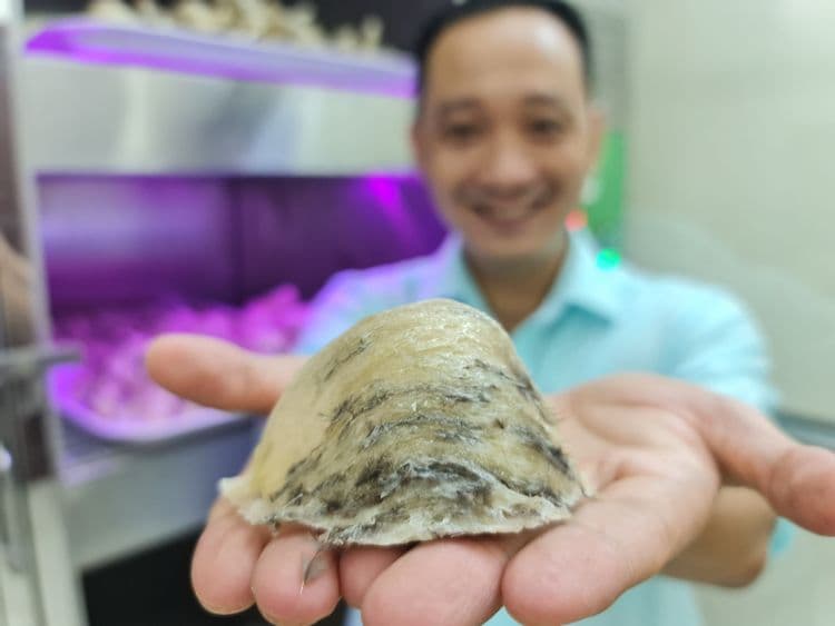 Phòng kiểm duyệt thô nguyên liệu - Yến Việt - 1