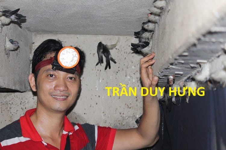 Nhà yến TPHCM-Gò Vấp-01 - 3